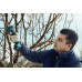 Акумулаторна ножица BOSCH Pro Pruner  