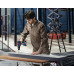 Акумулаторен винтоверт BOSCH GSR 18V-50 Professional