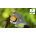 Акумулаторна ножица за клони BOSCH AdvancedPrune 18V-45 Акумулаторна ножица за клони BOSCH AdvancedPrune 18V-45